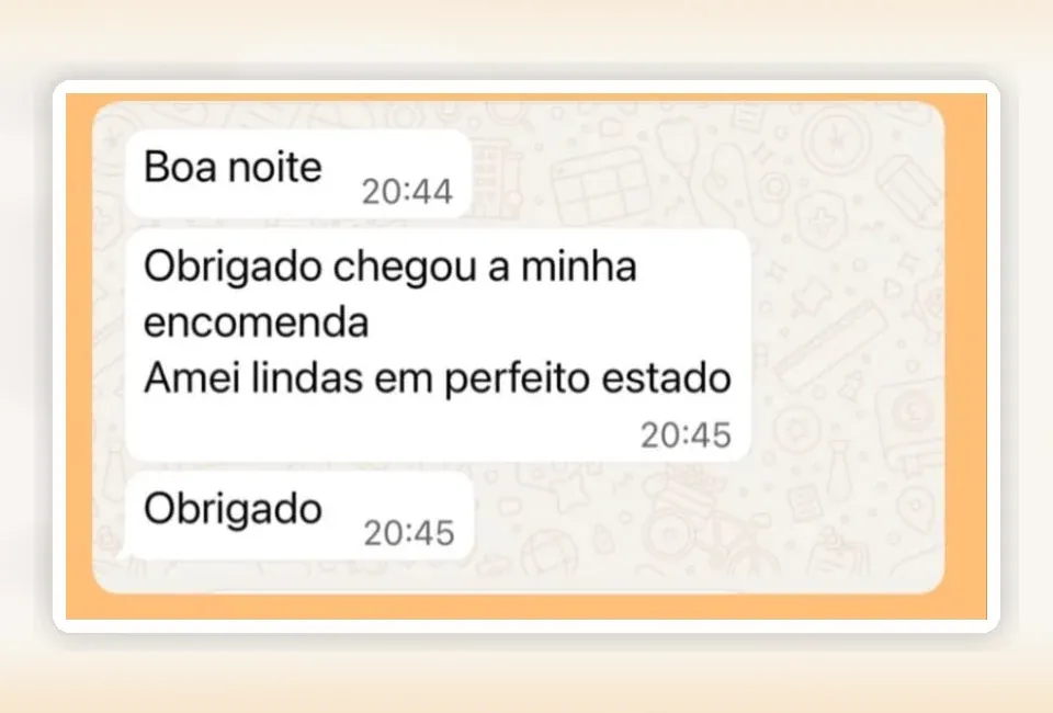 Mensagem de cliente sobre entrega em perfeito estado